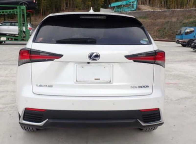 2022 Lexus NX 2,5L 2022 Cyprus