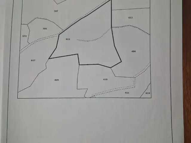 (Share) Agricultural Field 9365 m², Paphos — Thrinia
