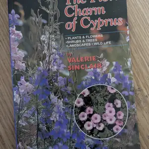 The floral charm of cyprus 10, Limassol — Germasogeia