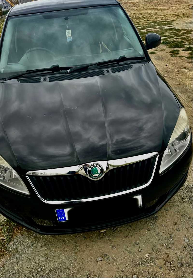 Skoda Fabia 1,2L 2012