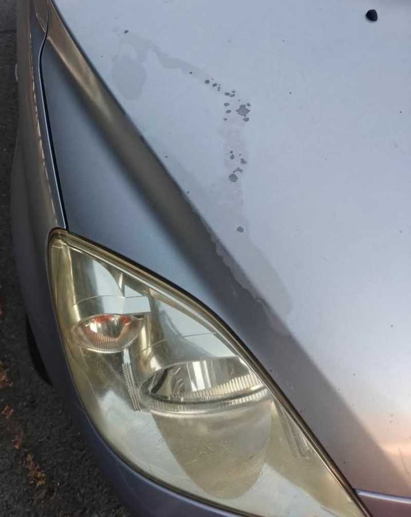 2005 Mazda Demio 1,5L 2005 Cyprus