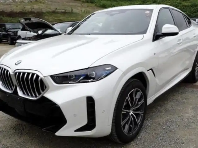 BMW X6