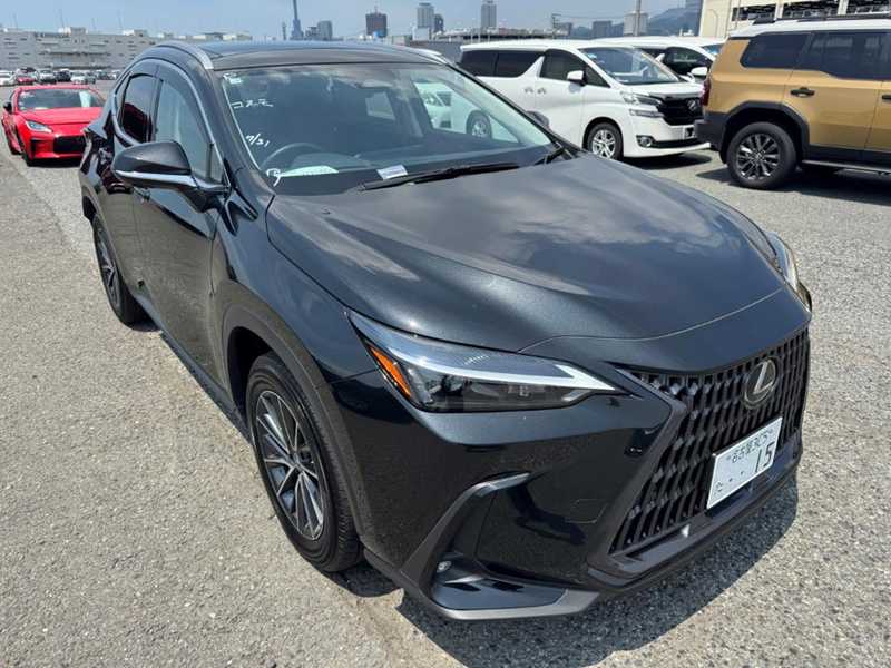 Lexus NX 2,5L 2025