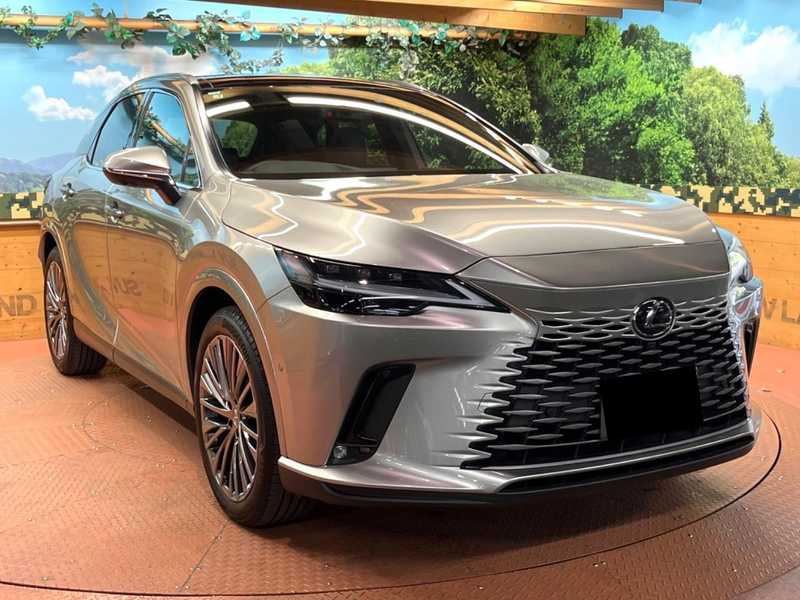 2025 Lexus RX 2,5L 2025 Cyprus
