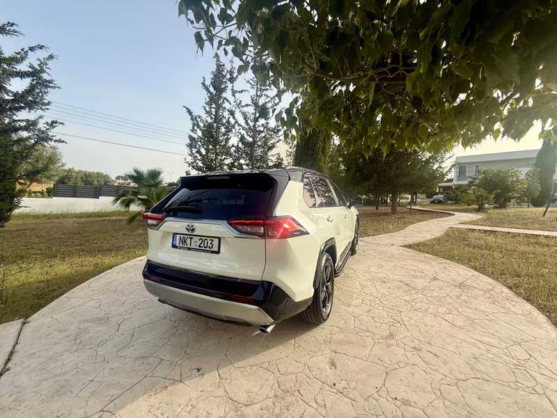2019 Toyota RAV4 2,5L 2019 Cyprus