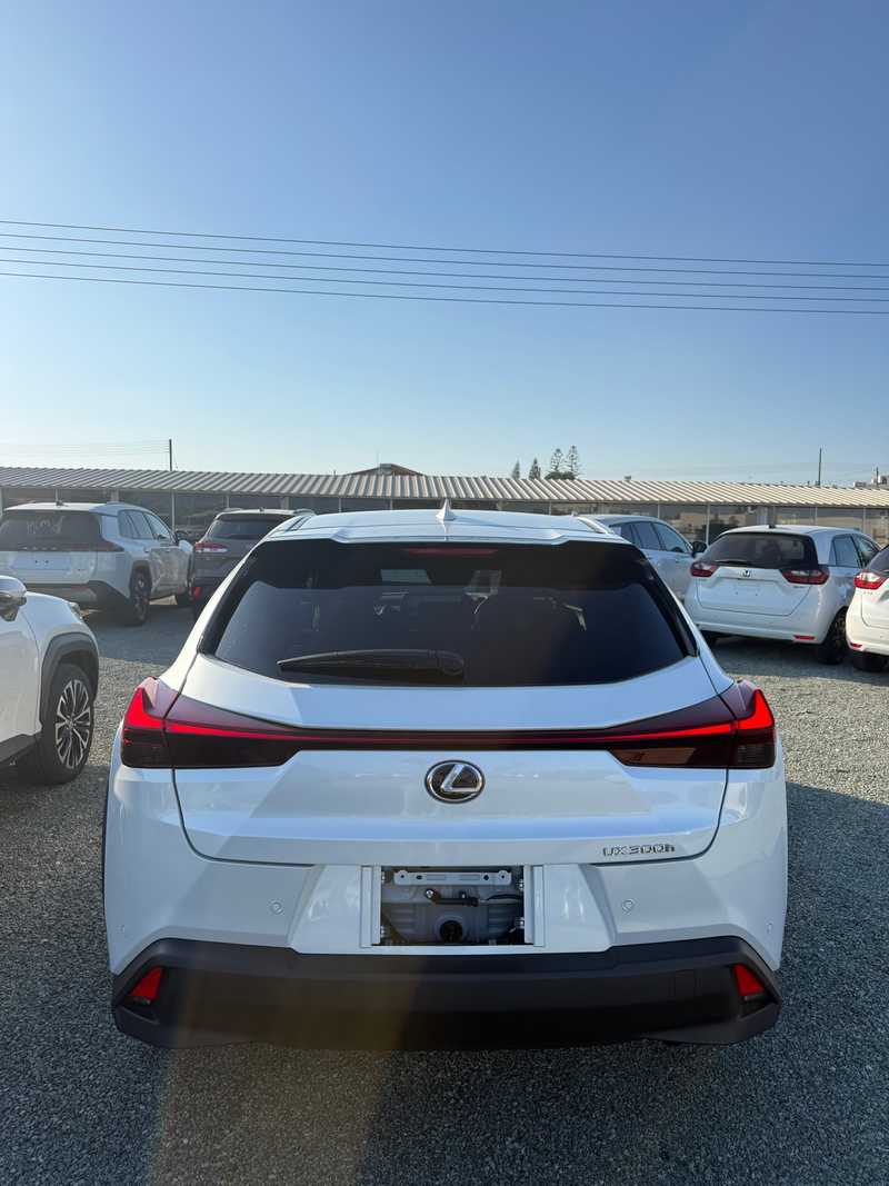 2025 Lexus UX 2,0L 2025 Cyprus