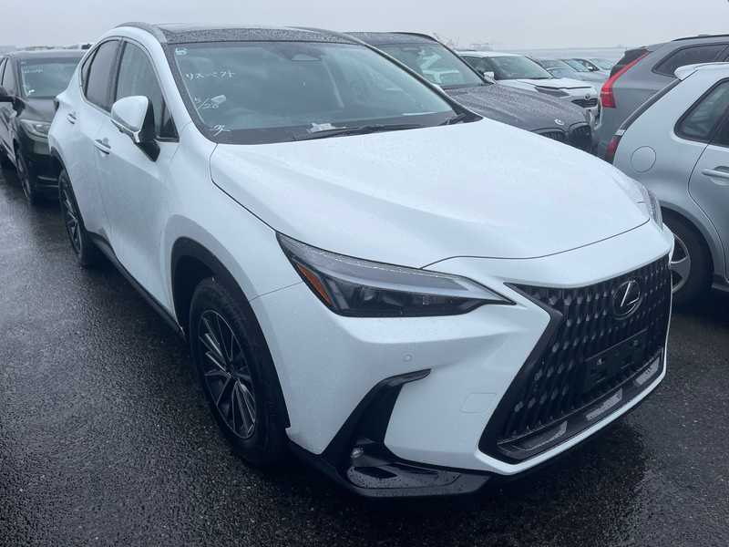 Lexus NX 2,5L 2026