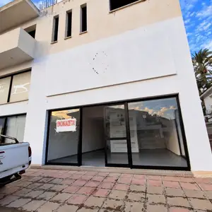ΚΑΤΑΣΤΗΜΑ / ΕΠΑΓΓΕΛΜΑΤΙΚΟΣ ΧΩΡΟΣ ΠΡΟΣ ΕΝΟΙΚΙΑΣΗ, Nicosia — Palouriotissa