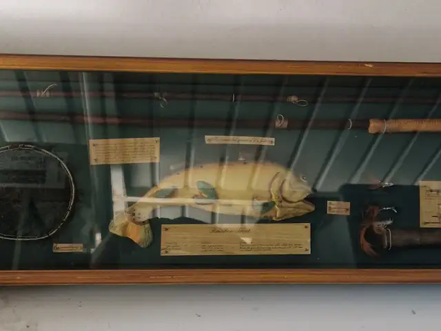 Διακοσμητικό κάδρο προθήκη shadow box με θέμα το παραδοσιακό ψάρεμα, Nicosia — Strovolos - Enthomar Kyprianos