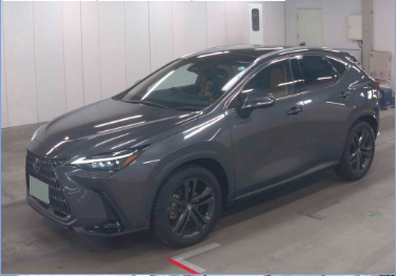 2025 Lexus NX 2,5L 2025 Cyprus