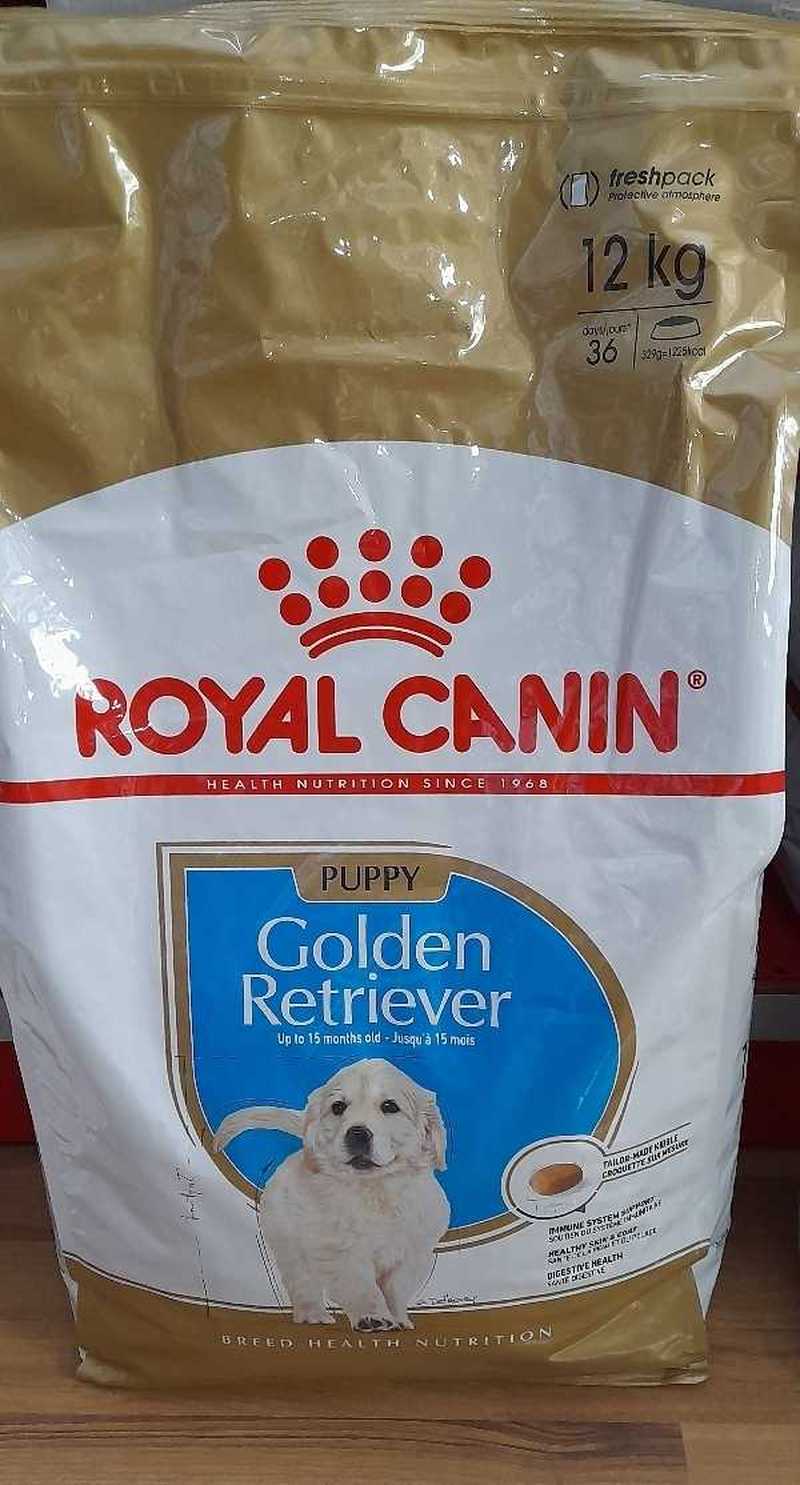 Dgmindia Golden Retriever Dog Food Reviews Royal Canin Puppy Golden  Retriever Hundefutter Gnstig