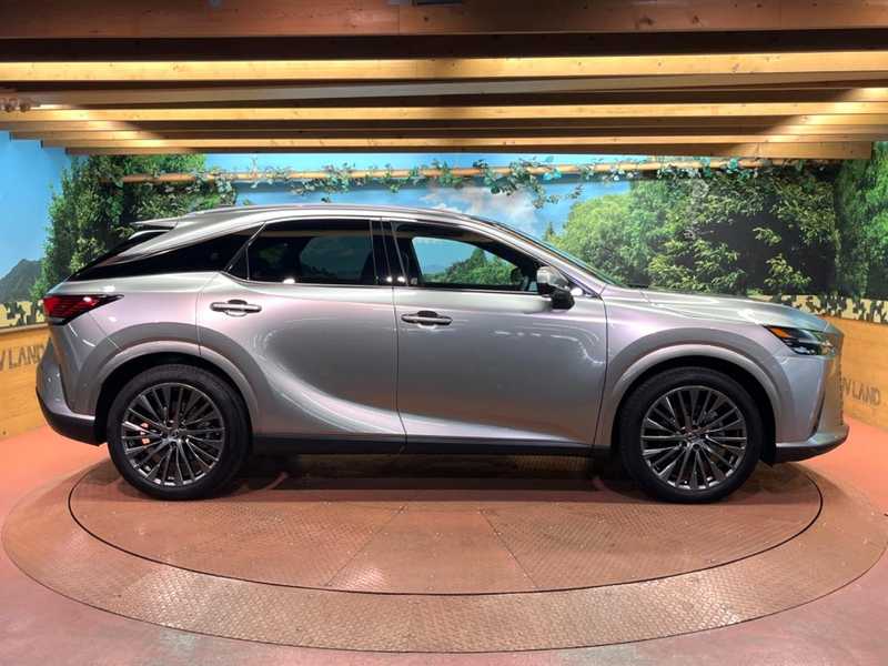 2025 Lexus RX 2,5L 2025 Cyprus