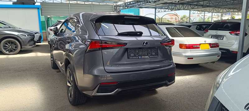 2020 Lexus NX 2,5L 2020 Cyprus