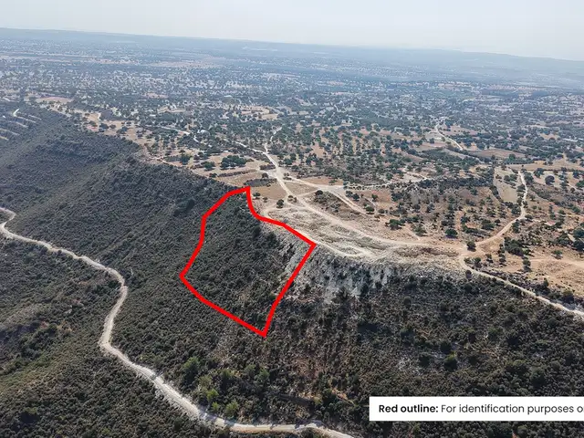 (Share) Agricultural Field 7693 m², Επαρχία Λεμεσού — Ανώγυρα
