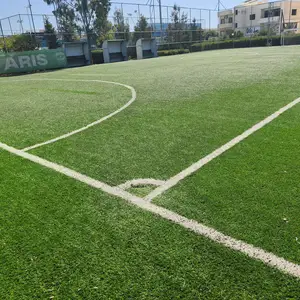 Πλαστικός χλοοτάπητας, Επαρχία Λεμεσού — Κάτω Πολεμίδια