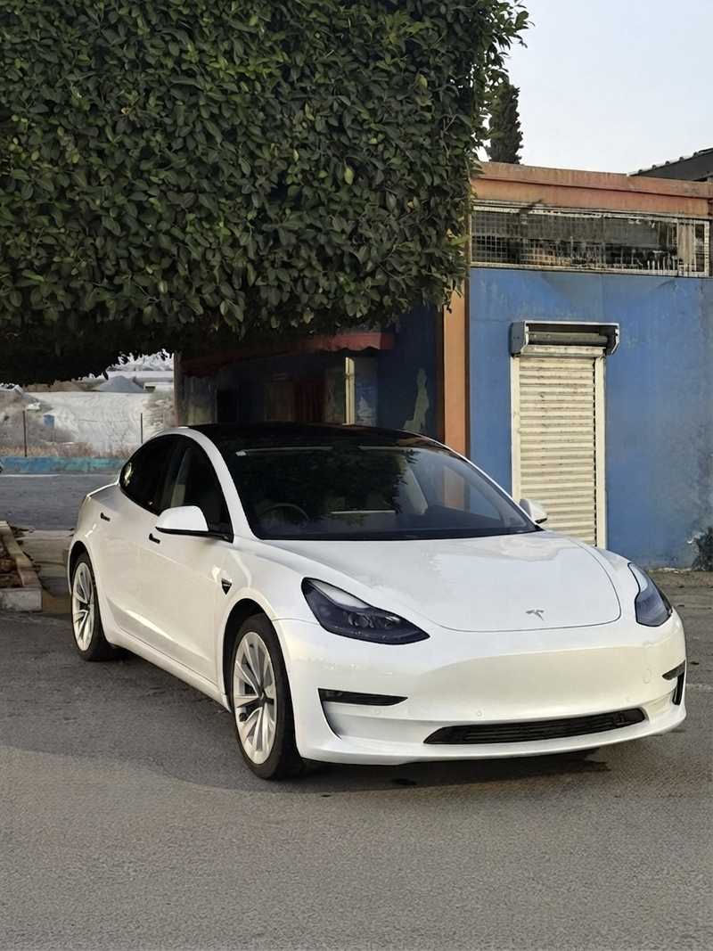 Tesla Model 3 Electric 2021