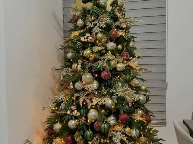 Christmas tree 2.80m, Επαρχία Πάφου — Χλώρακας