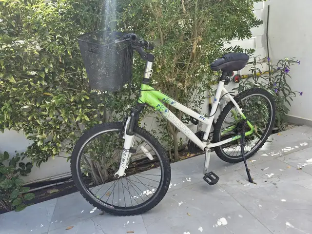 Bicycle, Επαρχία Λάρνακας — Ορόκλινη Τουριστική Περιοχή