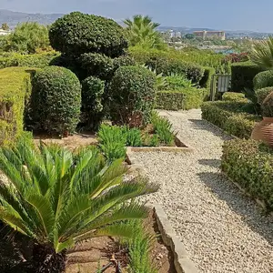 Cleaning and garden mentainance., Επαρχία Πάφου — Πέγεια