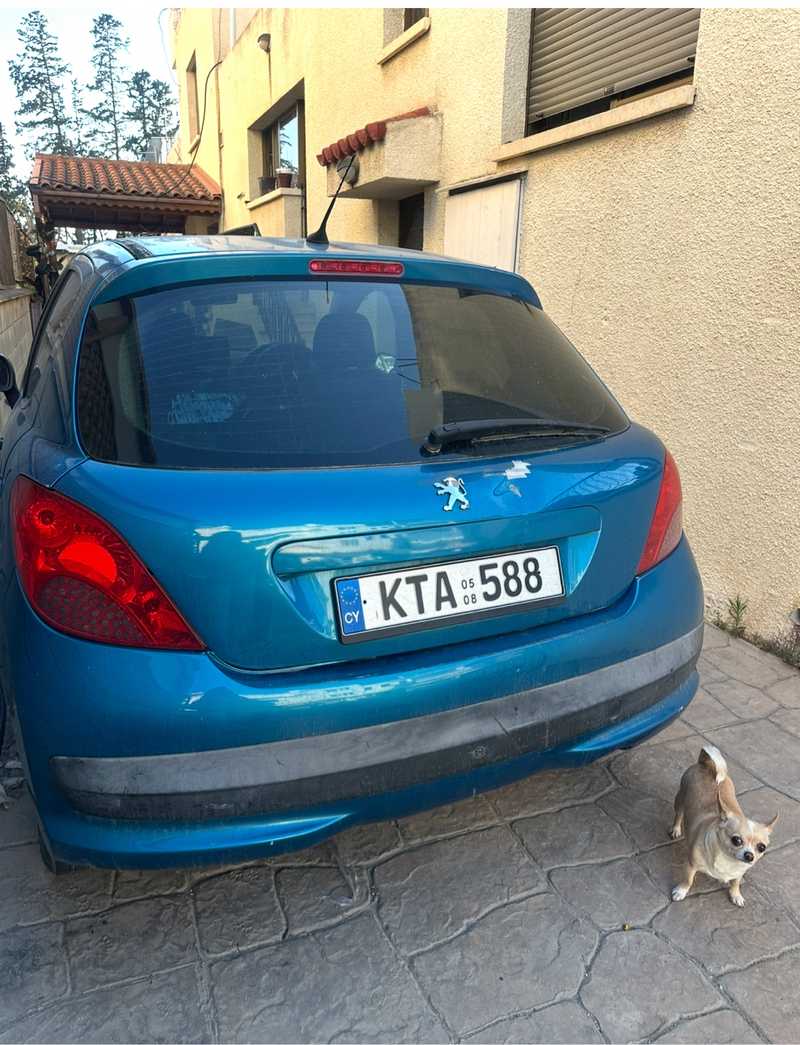 2007 Peugeot 207 1,6L 2007 Cyprus