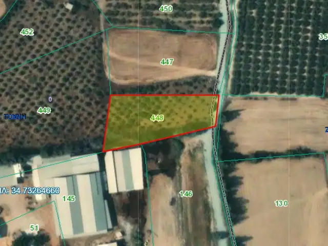 Agricultural Field 51508 m², Επαρχία Λάρνακας — Τόχνη
