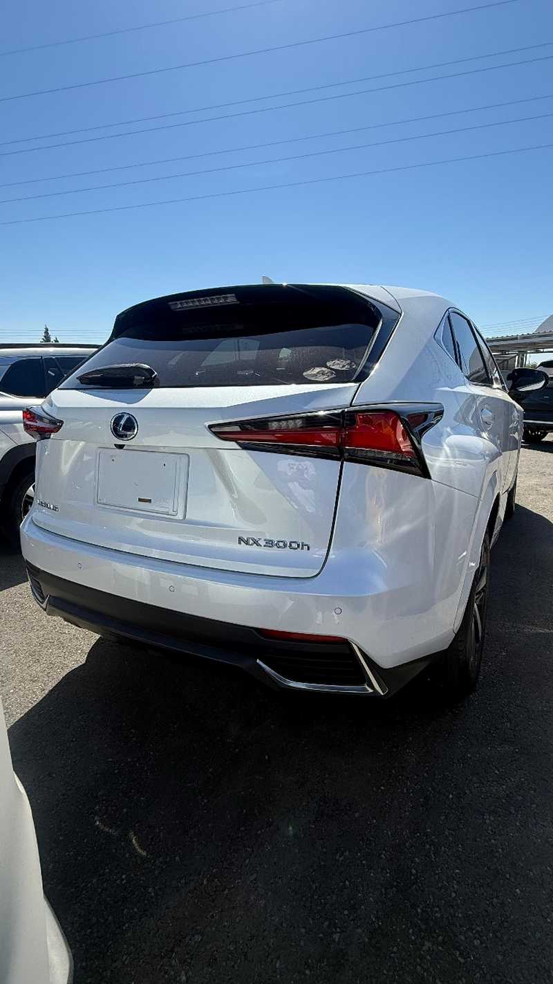 2022 Lexus NX 2,5L 2022 Cyprus