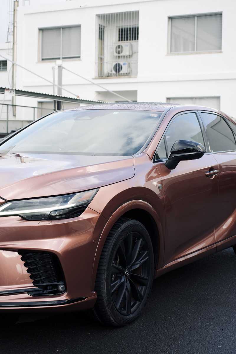 2023 Lexus RX 2,5L 2023 Cyprus