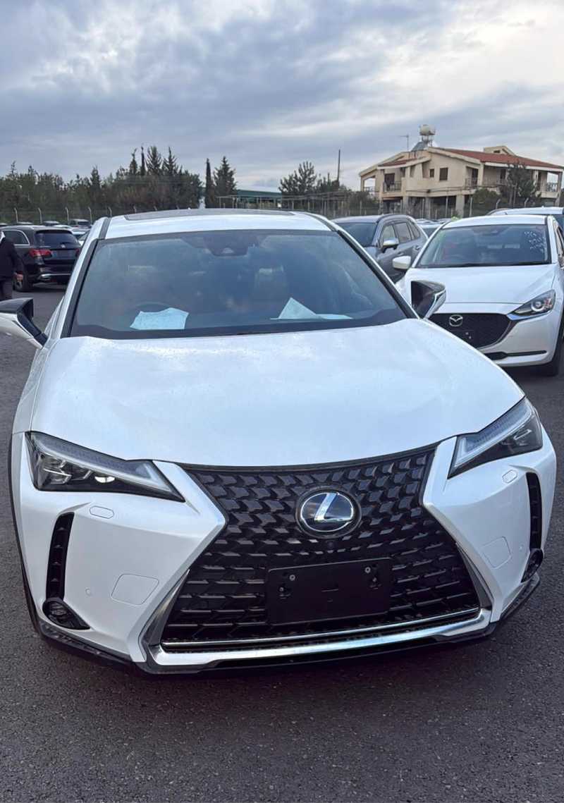 2023 Lexus UX 2,0L 2023 Cyprus