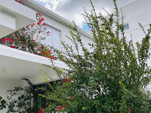  5-bedroom detached house to rent, Επαρχία Λευκωσίας — Στρόβολος - Δασούπολη - 12