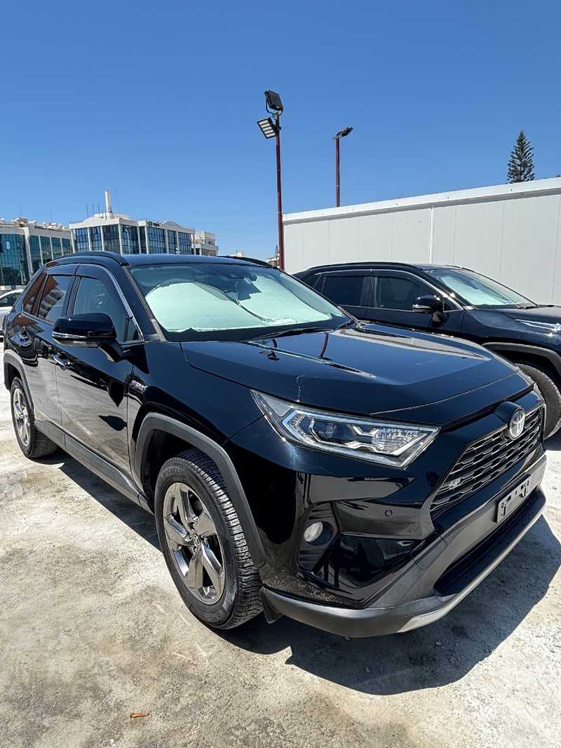 2021 Toyota RAV4 2,5L 2021 Cyprus