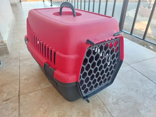 Cat box, Famagusta — Agia Napa