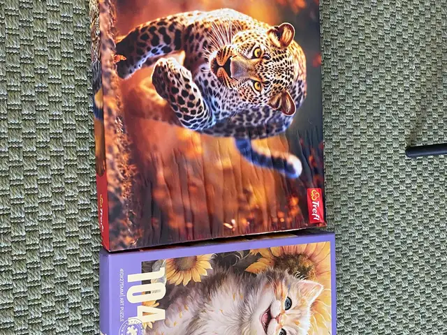 Puzzles with cats 500pc +104pc, Επαρχία Λεμεσού — Ιστορικό Κέντρο