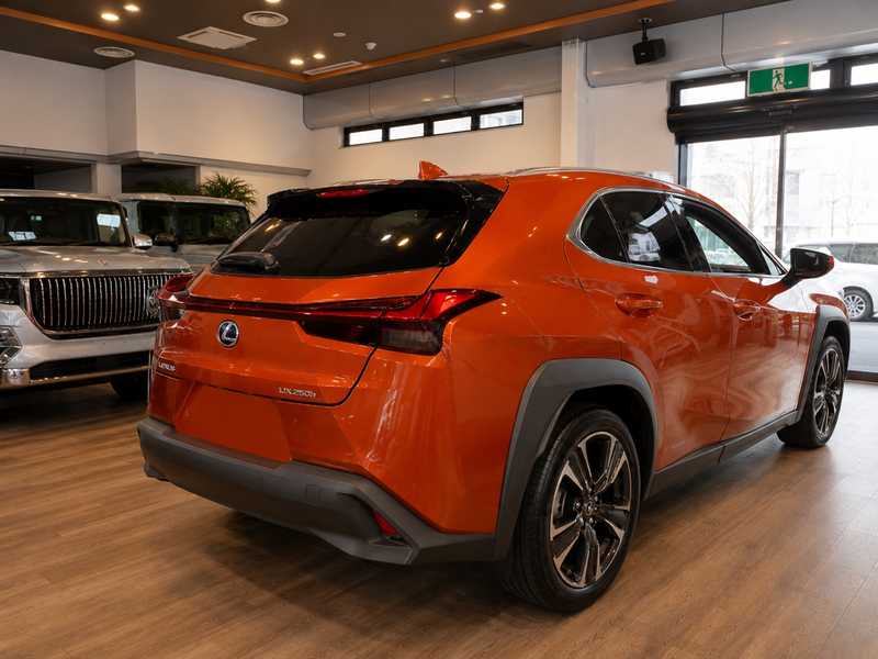2022 Lexus UX 2,0L 2022 Cyprus