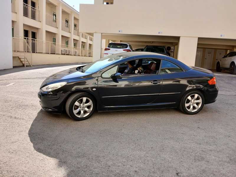 2005 Peugeot 307 1,6L 2005 Cyprus