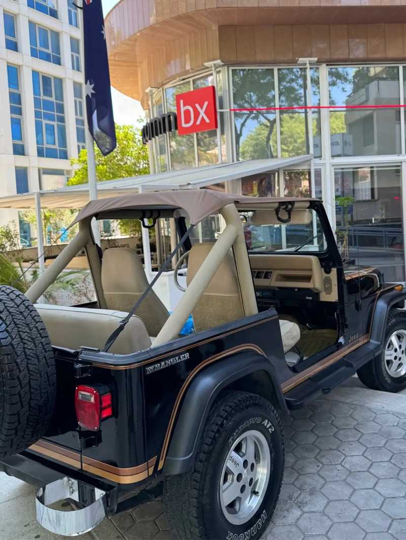 1988 Jeep Wrangler 4,2L 1988 Cyprus