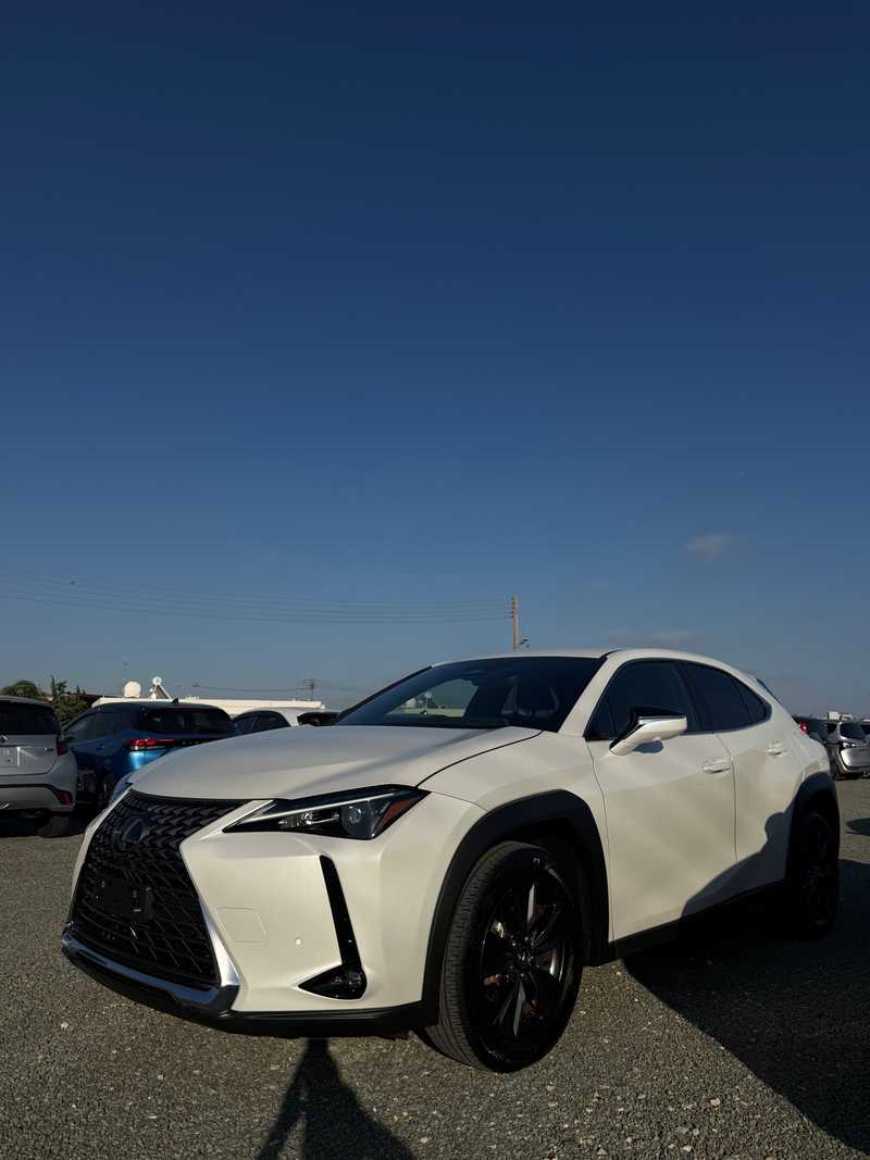 2025 Lexus UX 2,0L 2025 Cyprus
