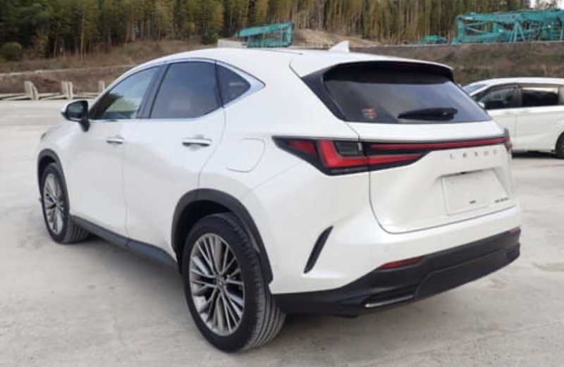 2024 Lexus NX 2,5L 2024 Cyprus