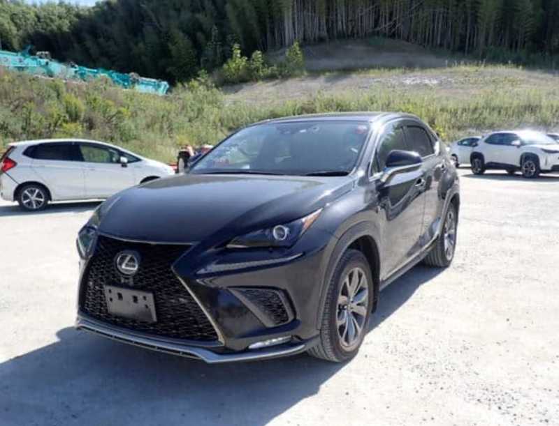 Lexus NX 2,5L 2021