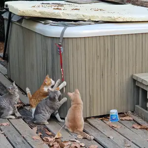 4 cat bros, Limassol — Germasogeia Tourist Area