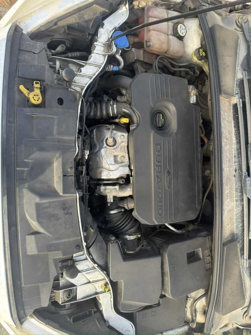 2015 Ford Focus 1,5L 2015 Cyprus