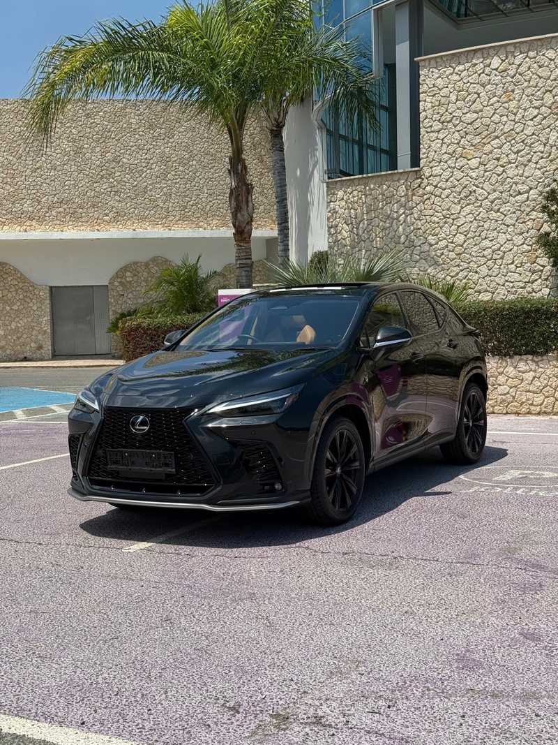 2025 Lexus NX 2,5L 2025 Cyprus