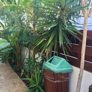 Yucca, Famagusta — Protaras