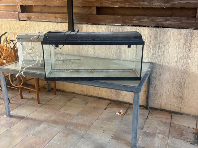 Aquarium, Επαρχία Λεμεσού — Ύψωνας
