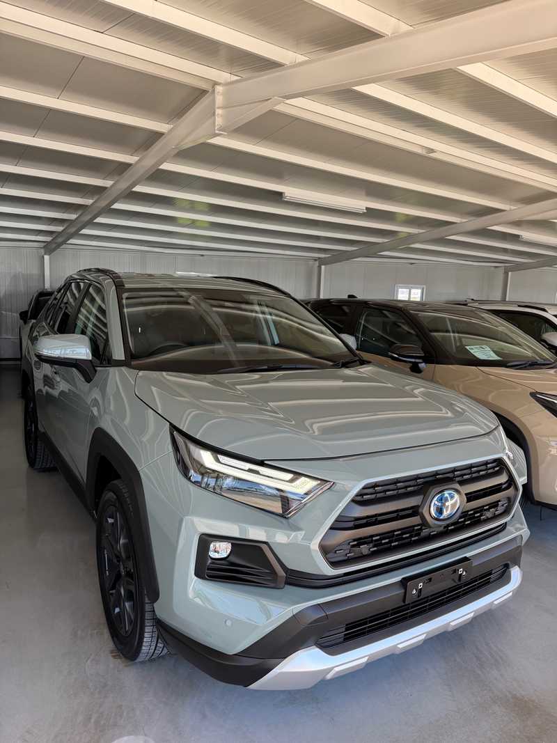 Toyota RAV4 2,5L 2024