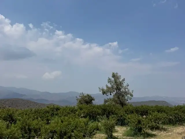 Agricultural Field 55000 m², Επαρχία Λεμεσού — Σανίδα