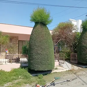 Gardening assistant, Nicosia — Strovolos - Stavros