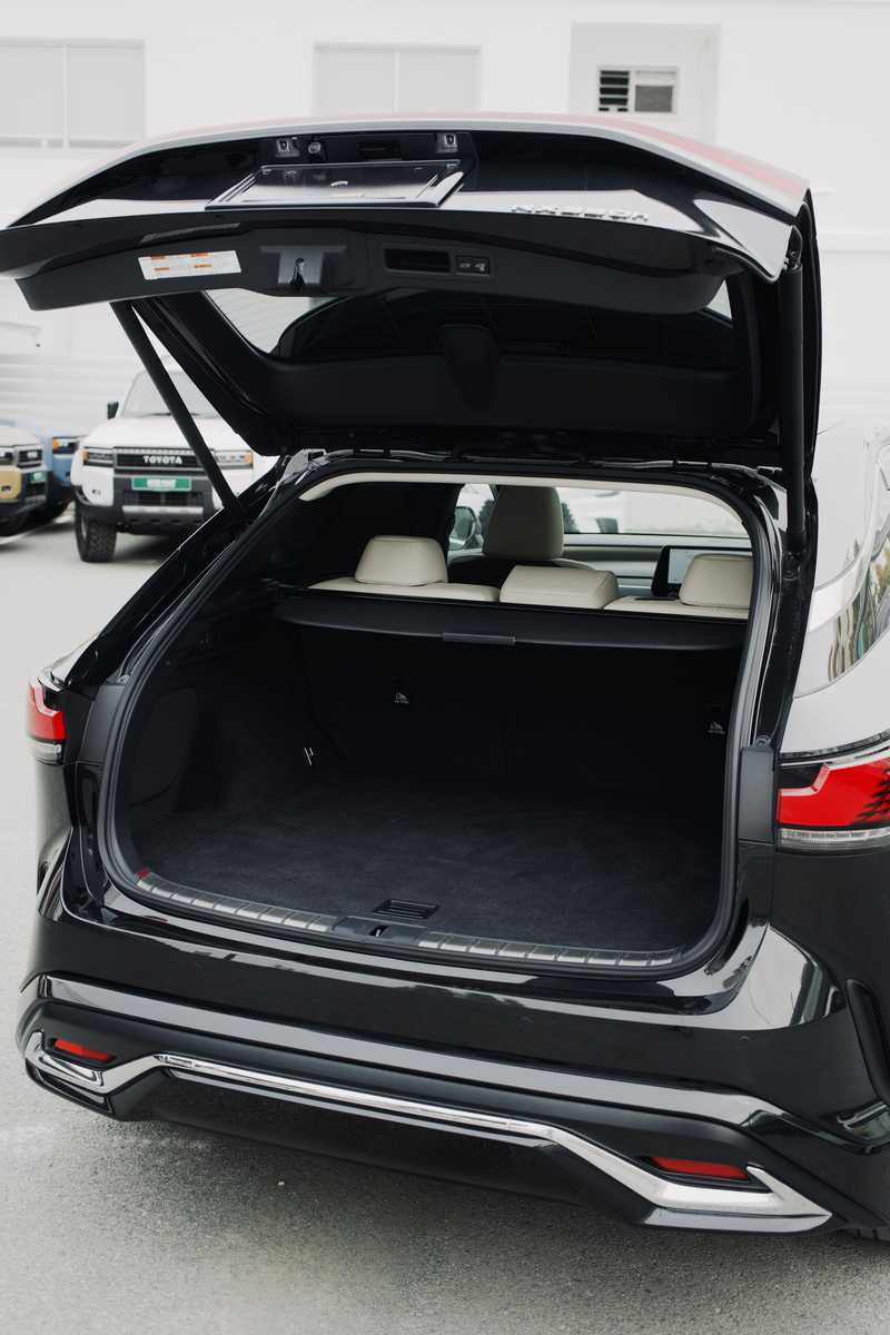 2024 Lexus RX 2,5L 2024 Cyprus