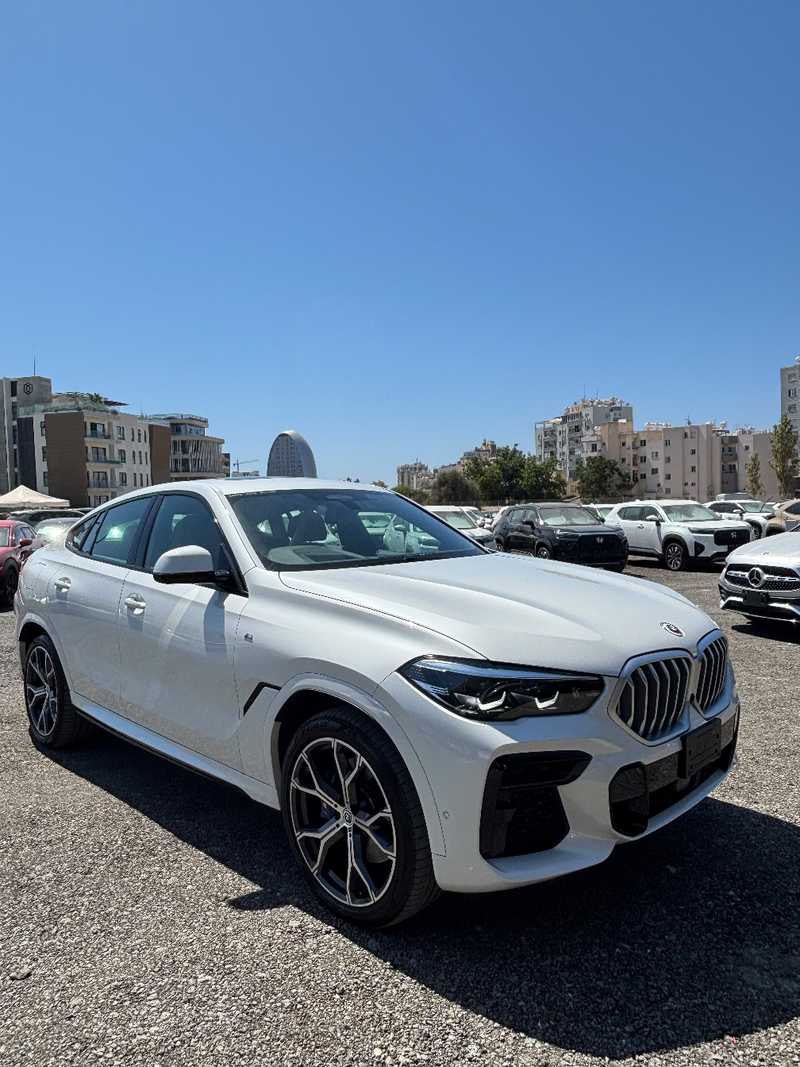 BMW X6 3,0L 2023