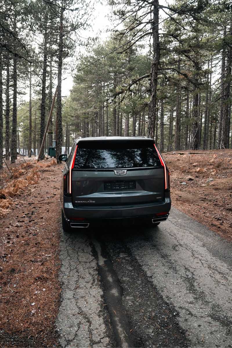 2021 Cadillac Escalade 6,2L 2021 Cyprus