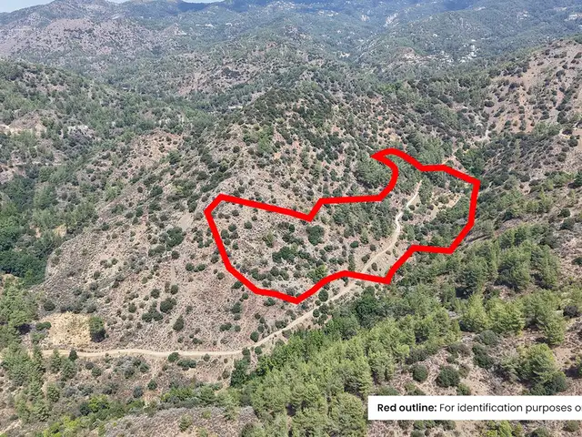 Agricultural Field 19064 m², Limassol — Kaminaria